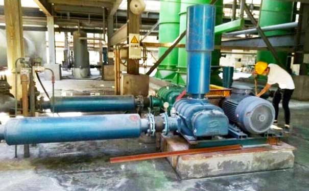 三叶罗茨鼓午夜精品久久久久久久久久蜜桃